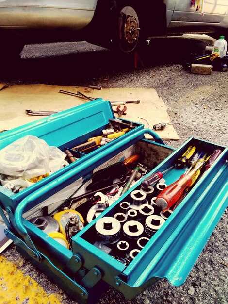 Emergency Contact Information and Vehicle Documentation Essentials