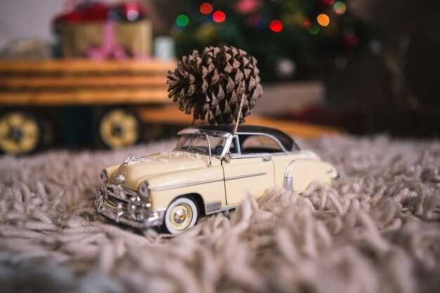 Maintaining Your Classic Car During the Winter Months
